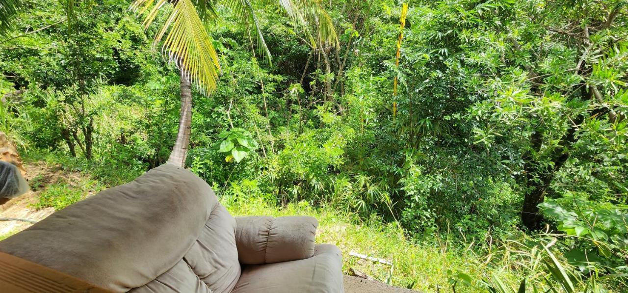 Hostel Finca La Gordita Calabazo  외부 사진