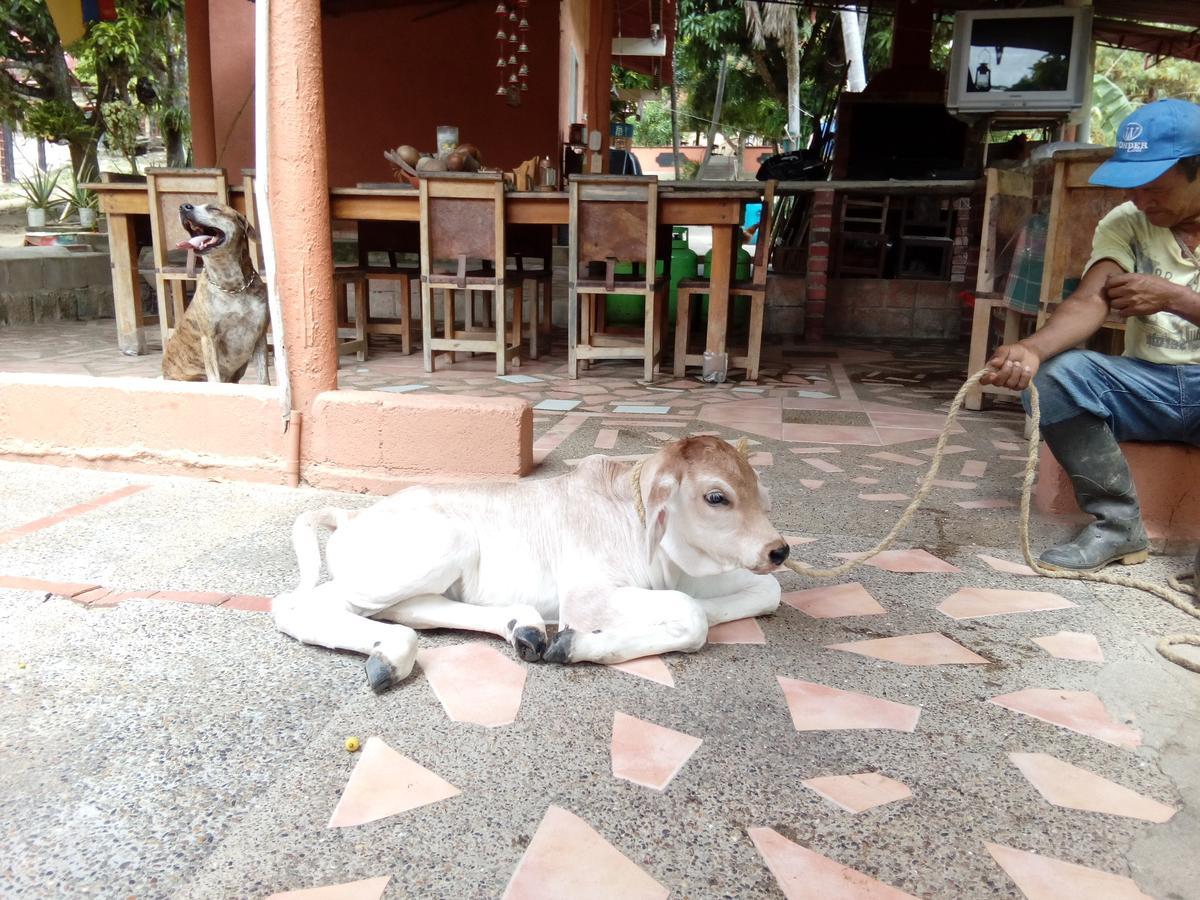 Hostel Finca La Gordita Calabazo  외부 사진