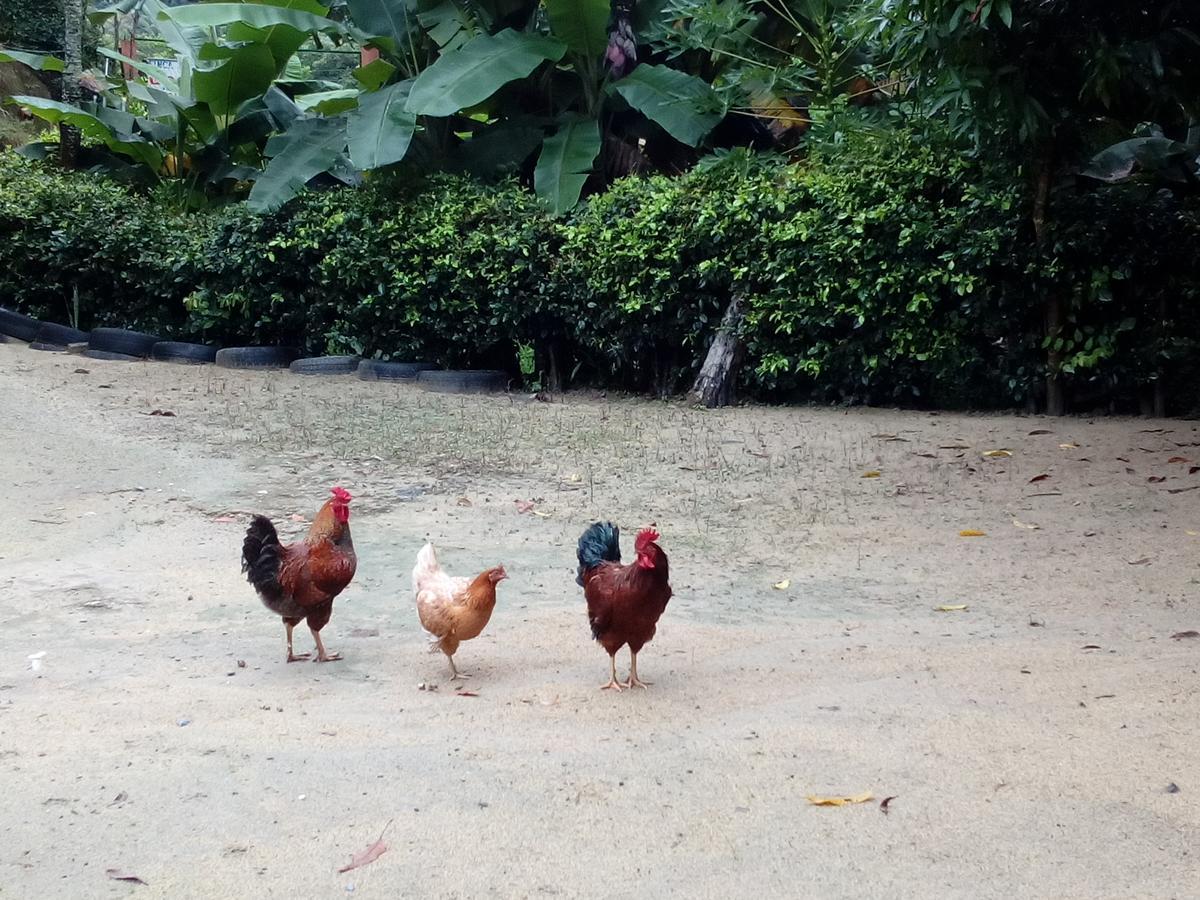 Hostel Finca La Gordita Calabazo  외부 사진