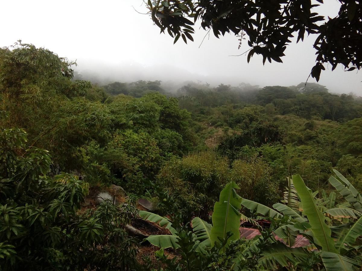 Hostel Finca La Gordita Calabazo  외부 사진